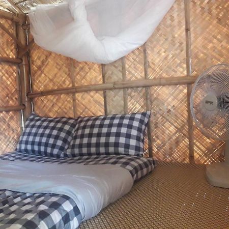 Coc Guest House & Hostel شيانغ ماي المظهر الخارجي الصورة