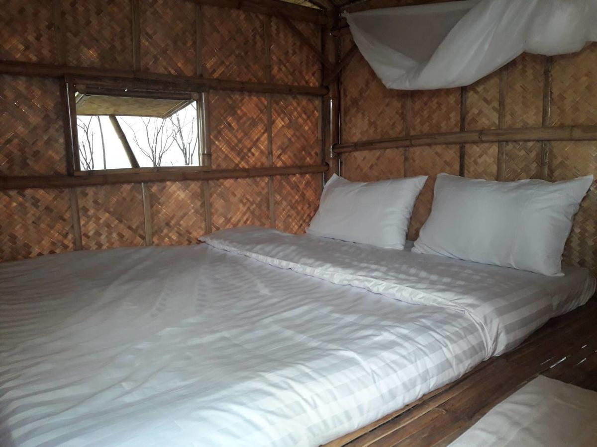 Coc Guest House & Hostel شيانغ ماي المظهر الخارجي الصورة